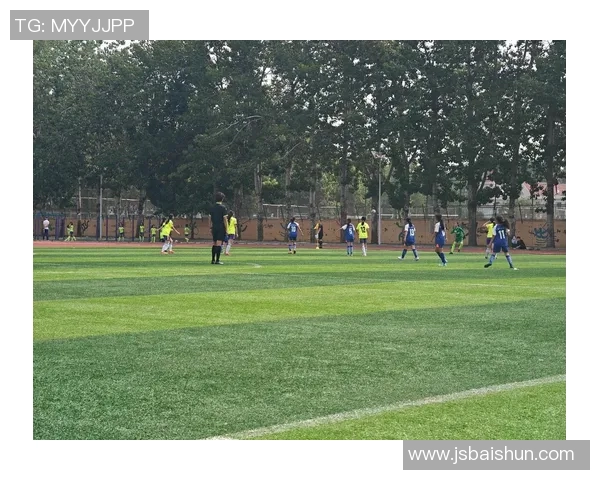 聚焦室内足球明星成长之路与竞技风采全面解析